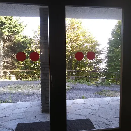 Panoramic Eagle Montoso