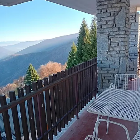 Panoramic Eagle *