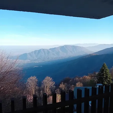 Panoramic Eagle