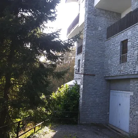 Panoramic Eagle Montoso