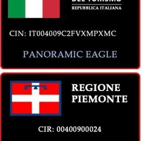 Panoramic Eagle *