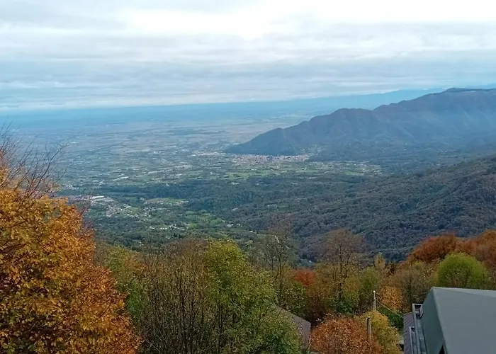 Panoramic Eagle * Montoso