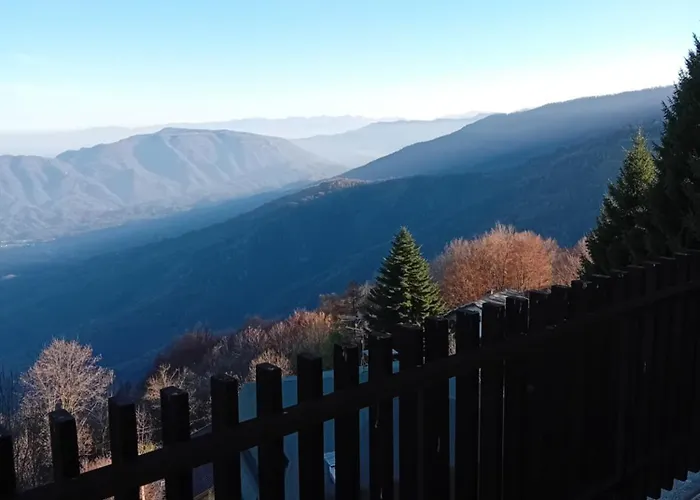 Panoramic Eagle Montoso