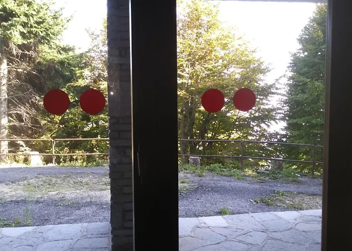 Panoramic Eagle Montoso