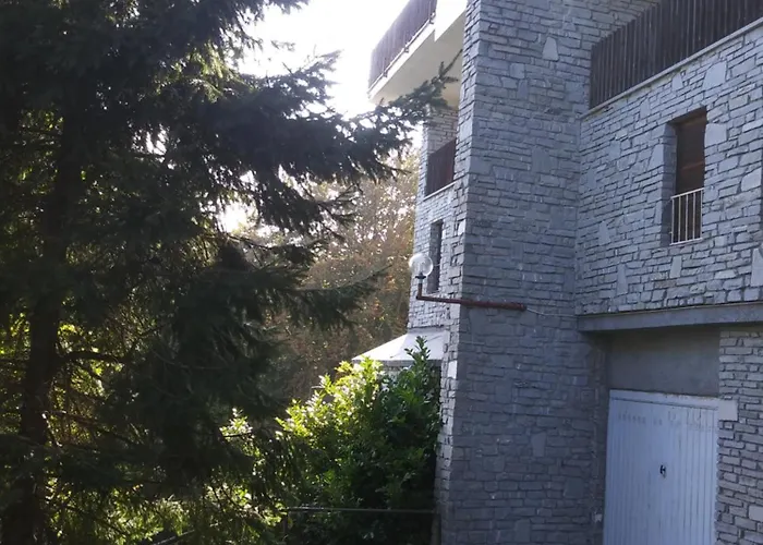 Panoramic Eagle Montoso